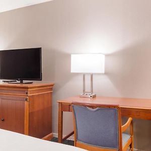 King Room Disability Access